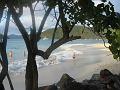 St Johns 2010 101
